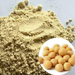 Isolated Soy Protein Powder