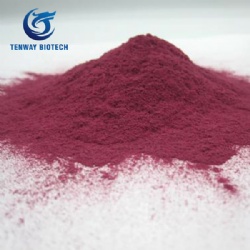 Natural food colorant Beetroot Red Powder